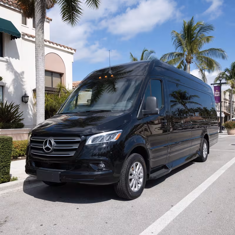14 Passenger Sprinter Limo